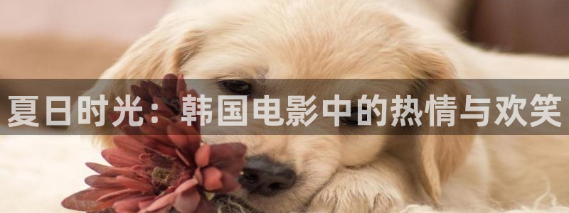 爱暖暖午夜影院