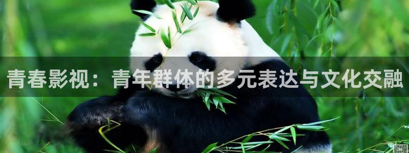 午夜影院福利视频：青春影视：青年群体的多元表达与文化交融