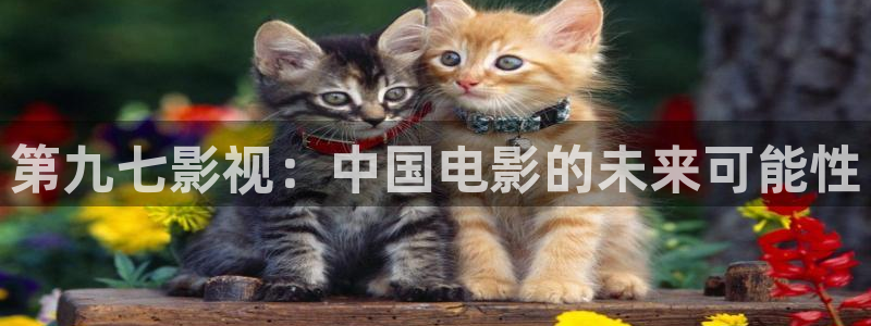 午夜av人影院：第九七影视：中国电影的未来可能性