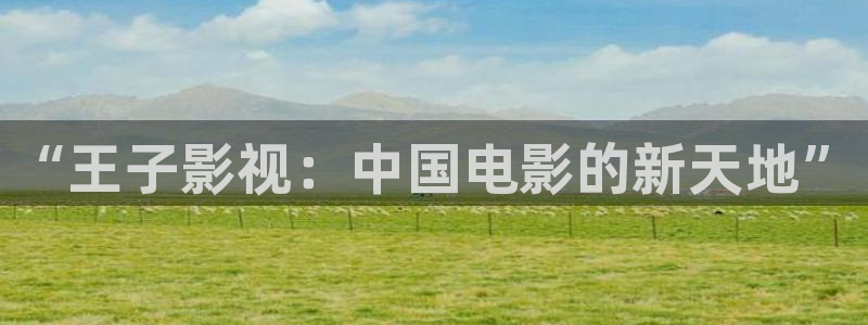 久久国产成人午夜av影院宅：“王子影视：中国电影的新天地”