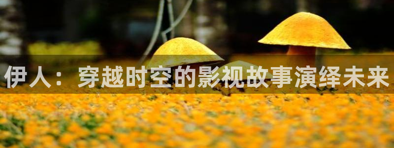 男人午夜电影你懂的：伊人：穿越时空的影视故事演绎未来